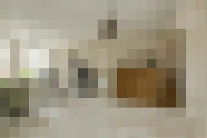 Frisostraat 47 Zevenbergschen Hoek thumbnail 17