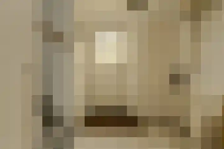 Frisostraat 47 Zevenbergschen Hoek thumbnail 18