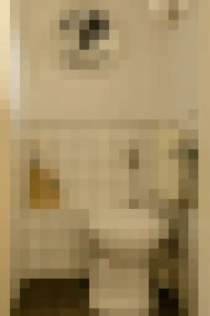 Frisostraat 47 Zevenbergschen Hoek thumbnail 19