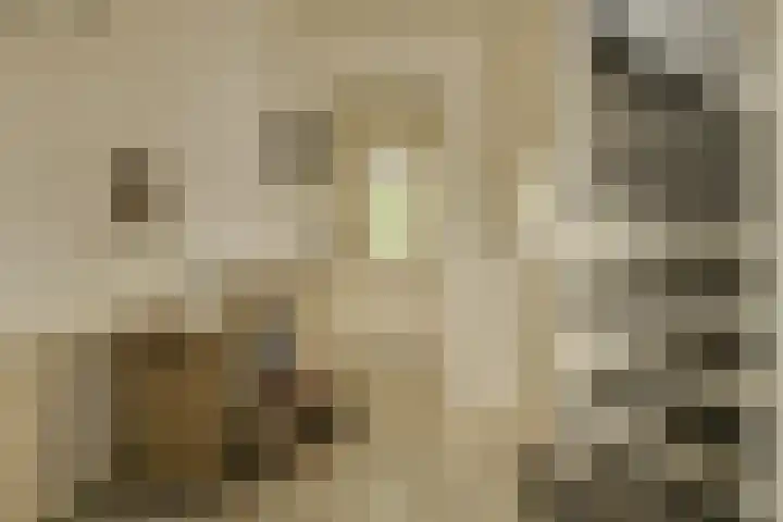 Frisostraat 47 Zevenbergschen Hoek thumbnail 20