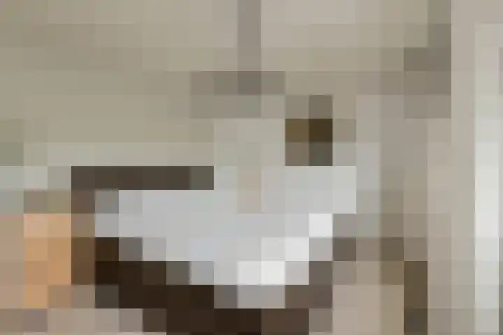 Frisostraat 47 Zevenbergschen Hoek thumbnail 22