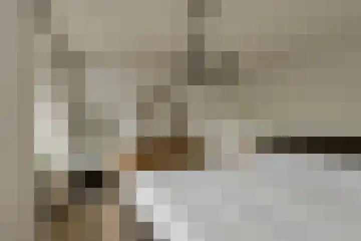 Frisostraat 47 Zevenbergschen Hoek thumbnail 23