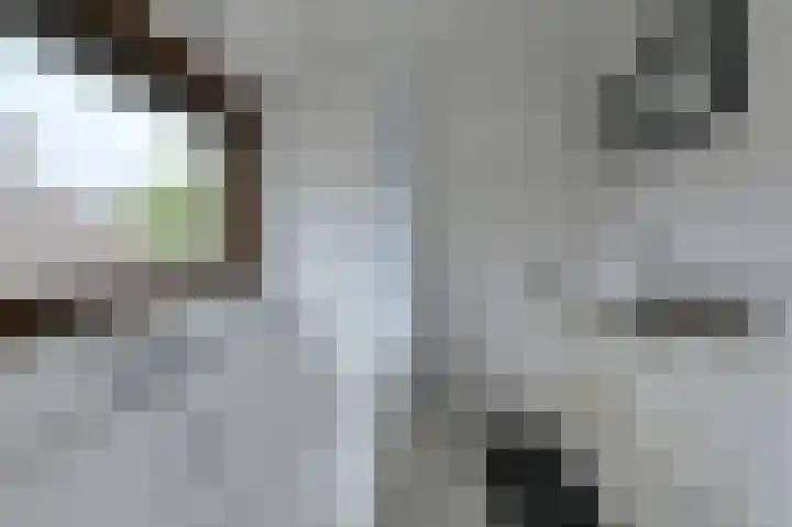 Frisostraat 47 Zevenbergschen Hoek thumbnail 25