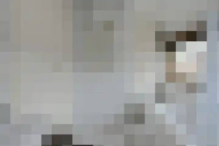 Frisostraat 47 Zevenbergschen Hoek thumbnail 26