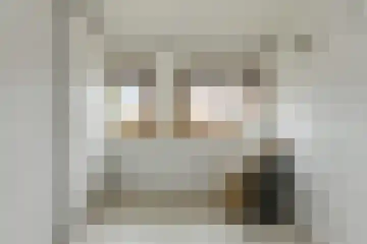 Frisostraat 47 Zevenbergschen Hoek thumbnail 28