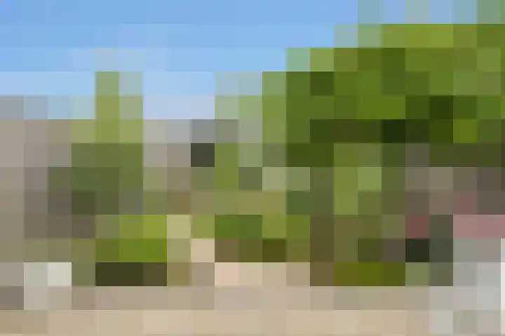 Frisostraat 47 Zevenbergschen Hoek thumbnail 31