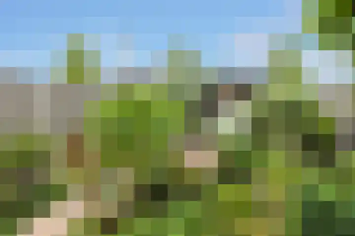 Frisostraat 47 Zevenbergschen Hoek thumbnail 32