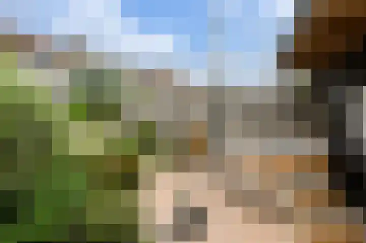 Frisostraat 47 Zevenbergschen Hoek thumbnail 34
