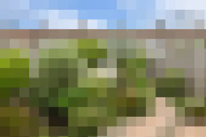 Frisostraat 47 Zevenbergschen Hoek thumbnail 35