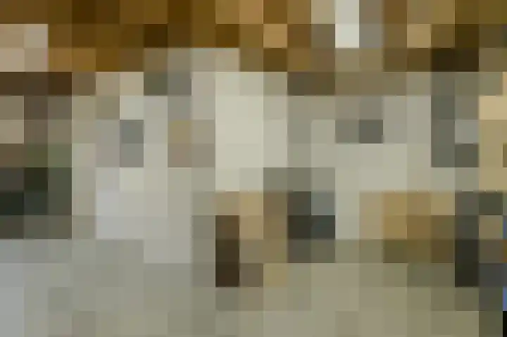 Frisostraat 47 Zevenbergschen Hoek thumbnail 39
