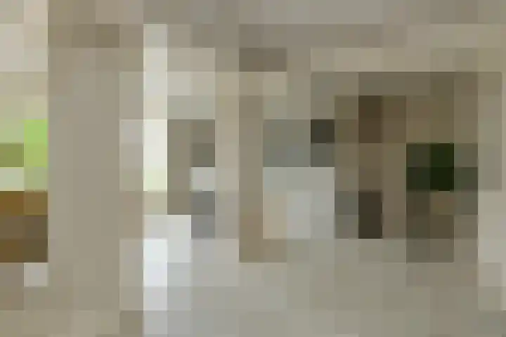 Frisostraat 47 Zevenbergschen Hoek thumbnail 4