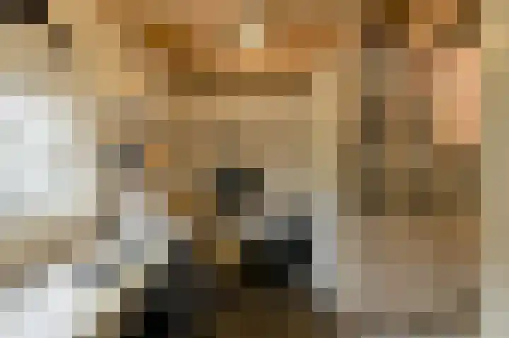 Frisostraat 47 Zevenbergschen Hoek thumbnail 41