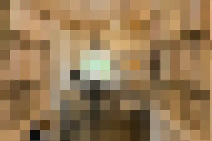 Frisostraat 47 Zevenbergschen Hoek thumbnail 42