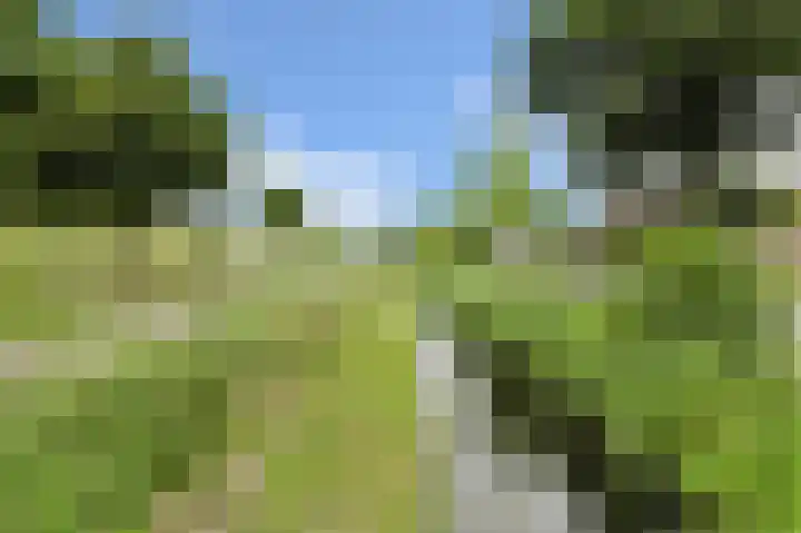 Frisostraat 47 Zevenbergschen Hoek thumbnail 43