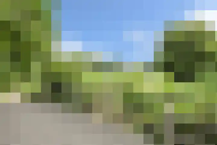 Frisostraat 47 Zevenbergschen Hoek thumbnail 44
