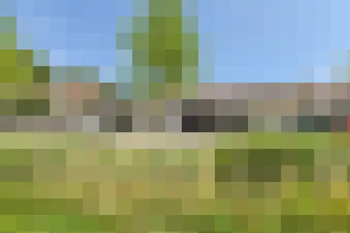 Frisostraat 47 Zevenbergschen Hoek thumbnail 46