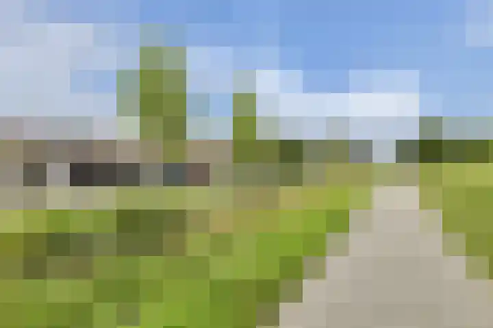 Frisostraat 47 Zevenbergschen Hoek thumbnail 47