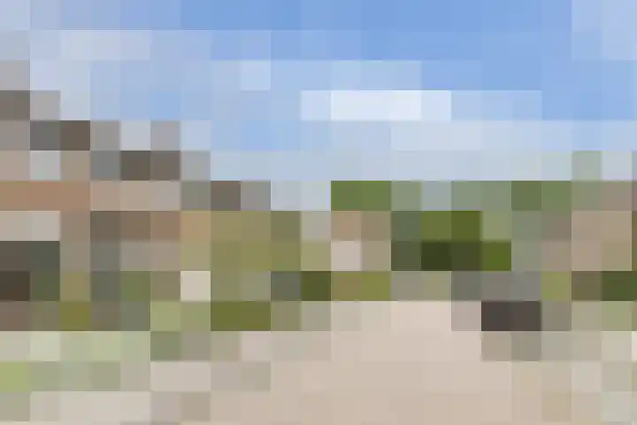 Frisostraat 47 Zevenbergschen Hoek thumbnail 49
