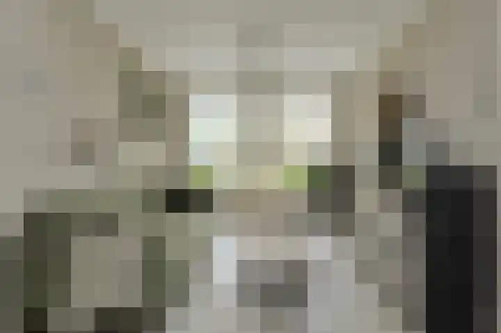 Frisostraat 47 Zevenbergschen Hoek thumbnail 5