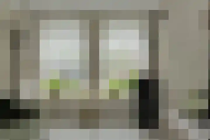 Frisostraat 47 Zevenbergschen Hoek thumbnail 6