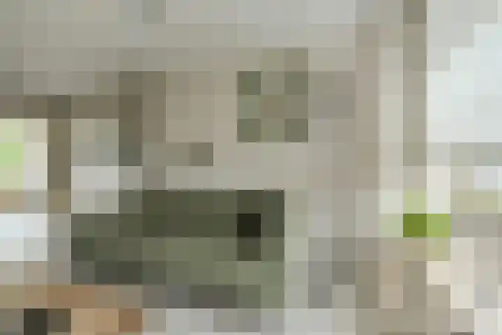 Frisostraat 47 Zevenbergschen Hoek thumbnail 7