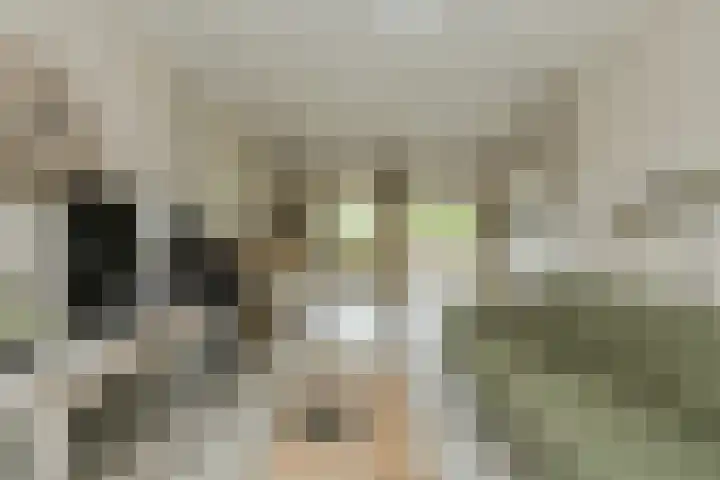Frisostraat 47 Zevenbergschen Hoek thumbnail 9