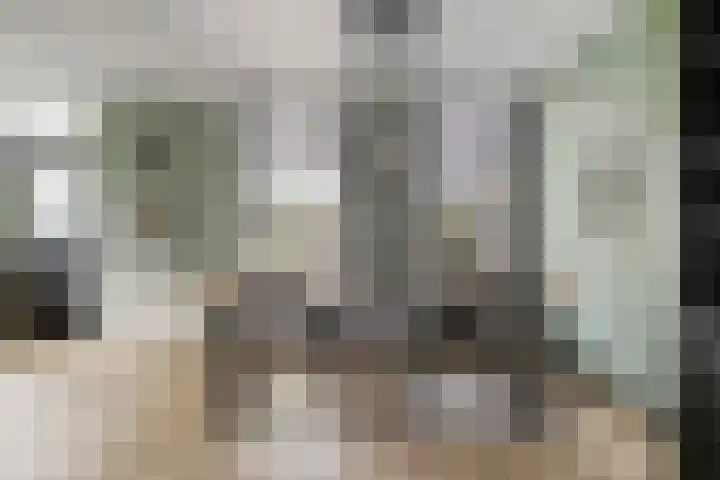 Frisostraat 6 Meerlo thumbnail 16
