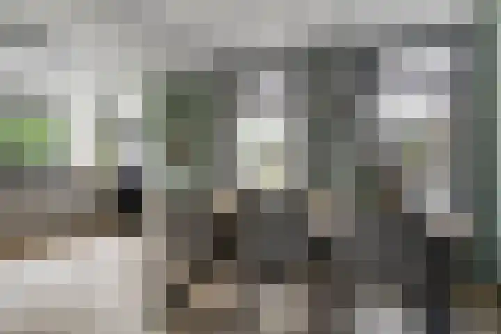 Frisostraat 6 Meerlo thumbnail 17