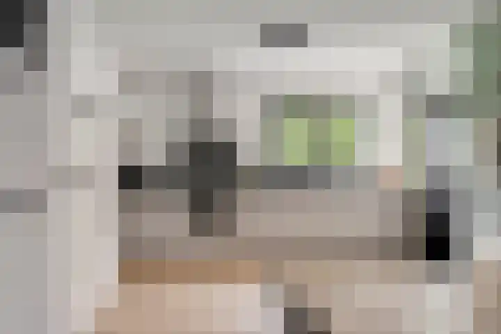 Frisostraat 6 Meerlo thumbnail 20