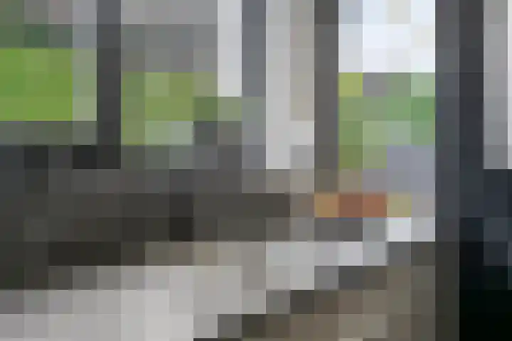 Frisostraat 6 Meerlo thumbnail 24