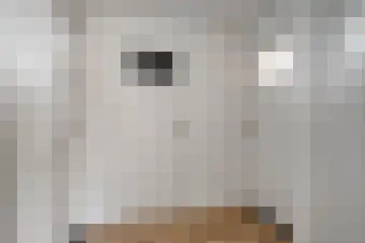 Frisostraat 6 Meerlo thumbnail 26