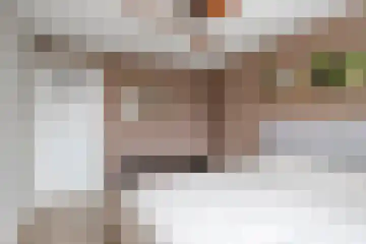 Frisostraat 6 Meerlo thumbnail 28