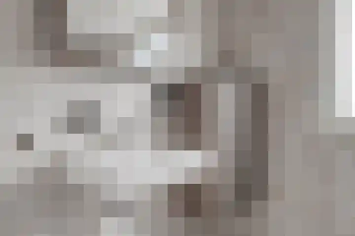 Frisostraat 6 Meerlo thumbnail 33