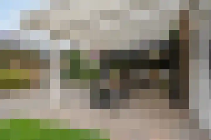 Frisostraat 6 Meerlo thumbnail 37