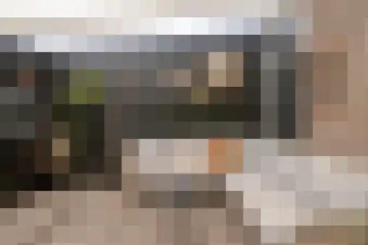 Frisostraat 6 Meerlo thumbnail 38