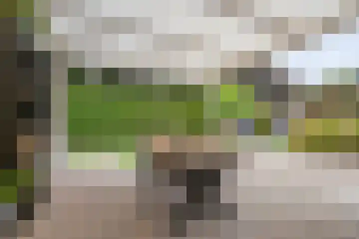 Frisostraat 6 Meerlo thumbnail 4