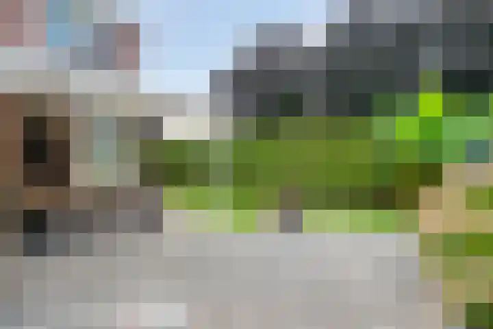Frisostraat 6 Meerlo thumbnail 40