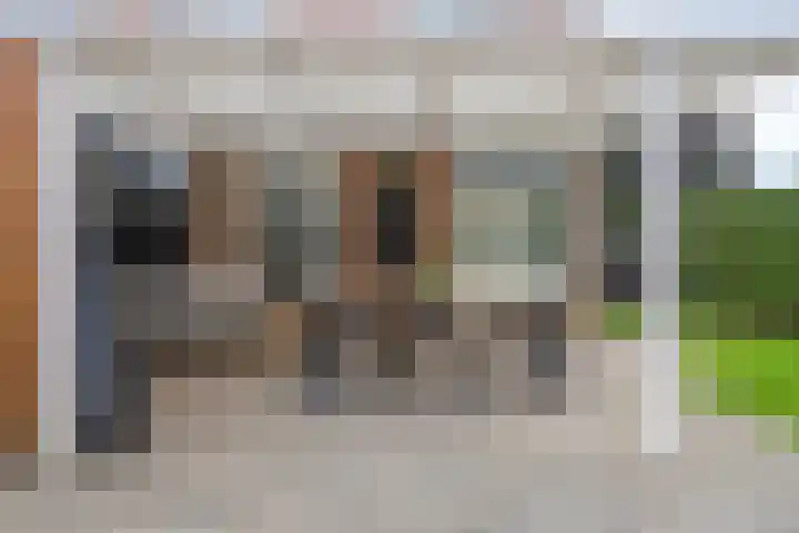 Frisostraat 6 Meerlo thumbnail 41