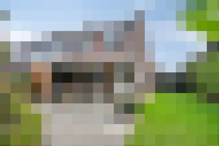 Frisostraat 6 Meerlo thumbnail 42