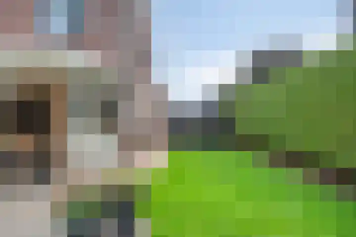 Frisostraat 6 Meerlo thumbnail 44
