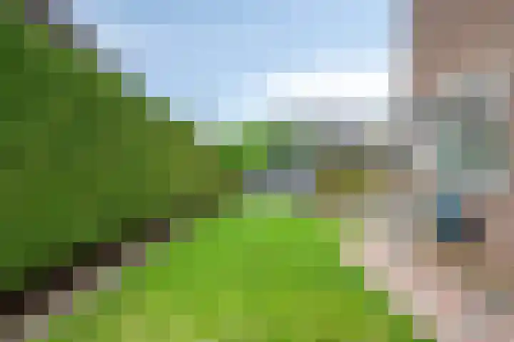Frisostraat 6 Meerlo thumbnail 45