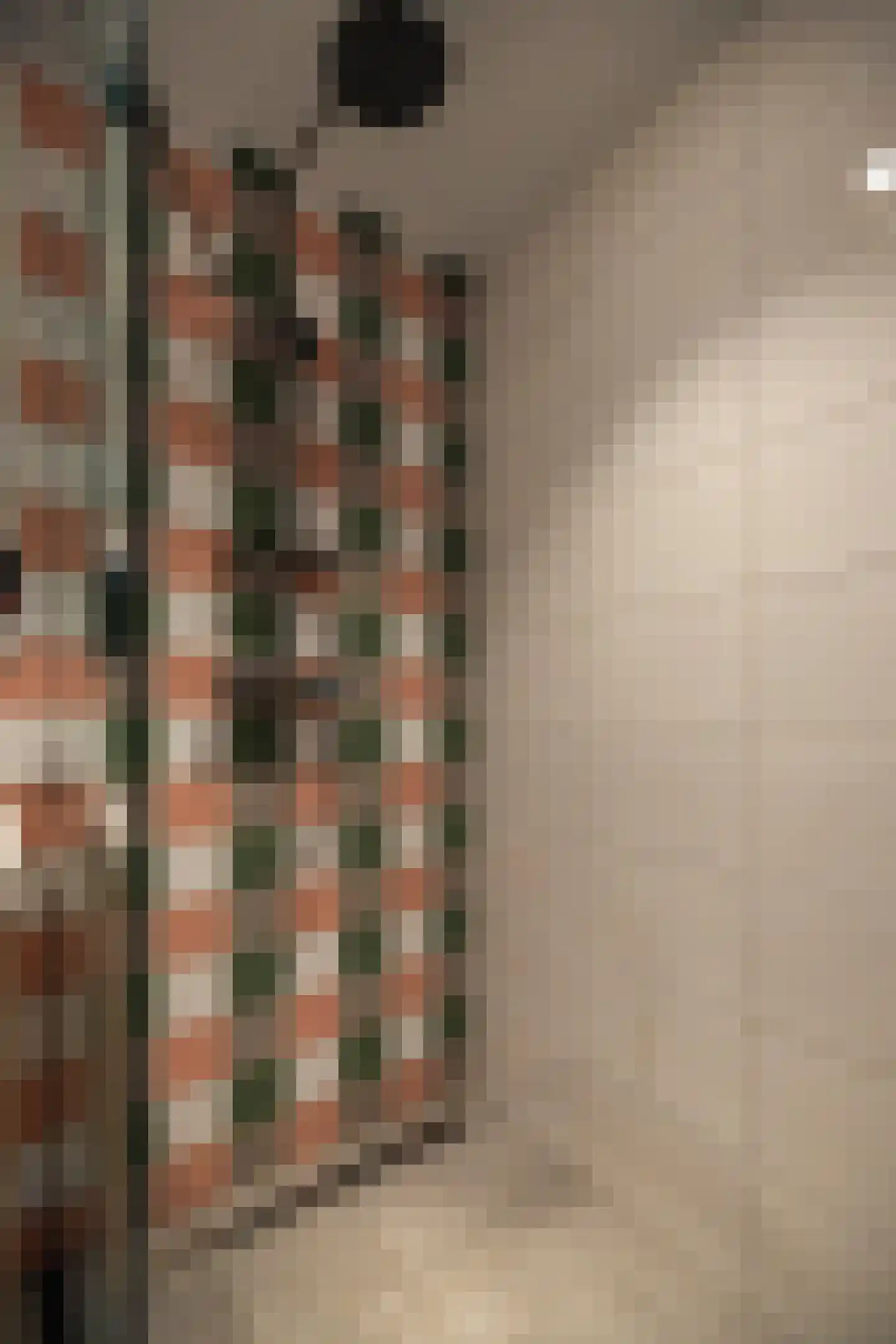 Frisostrjitte 23 Kootstertille thumbnail 23