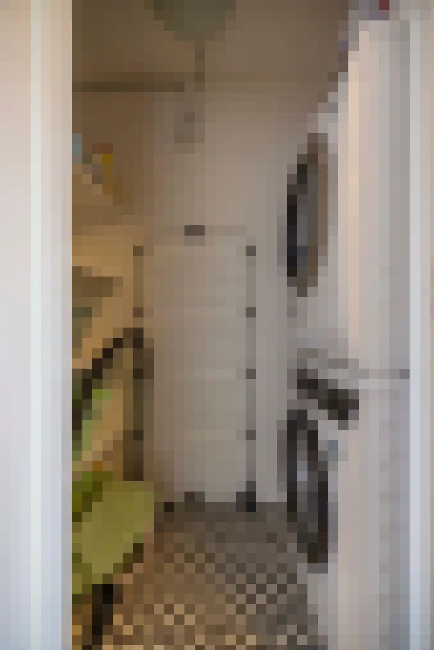 Frisostrjitte 23 Kootstertille thumbnail 29