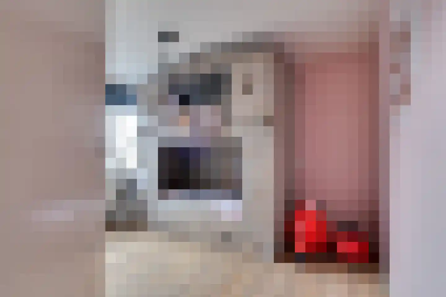 Frisostrjitte 63 Kootstertille thumbnail 27