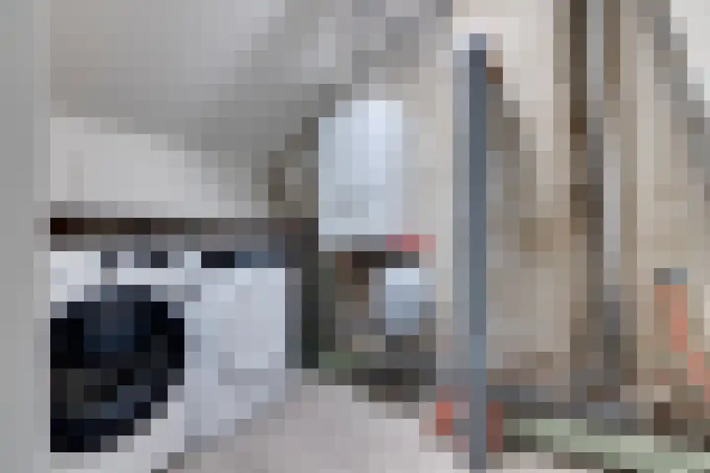 Frisostrjitte 63 Kootstertille thumbnail 37