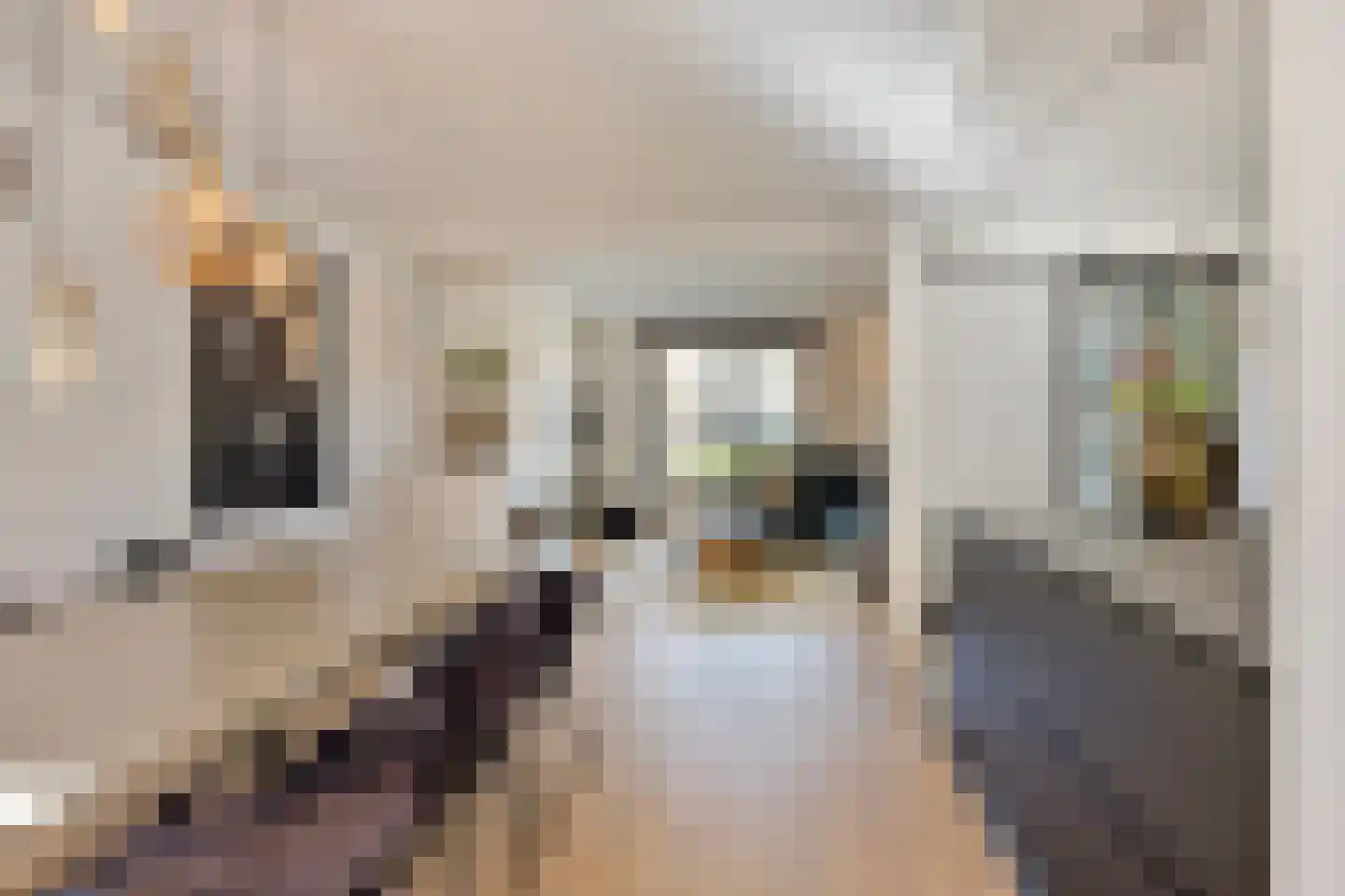 Frisselsteinstraat 16 Veghel thumbnail 17