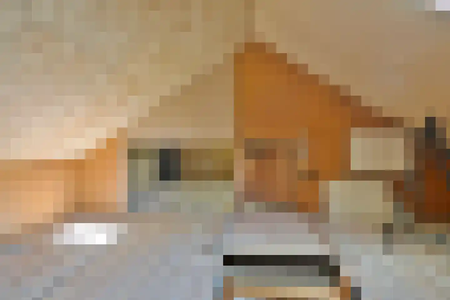 Frisselsteinstraat 16 Veghel thumbnail 35