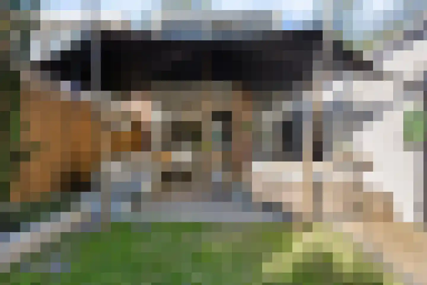 Frisselsteinstraat 16 Veghel thumbnail 36