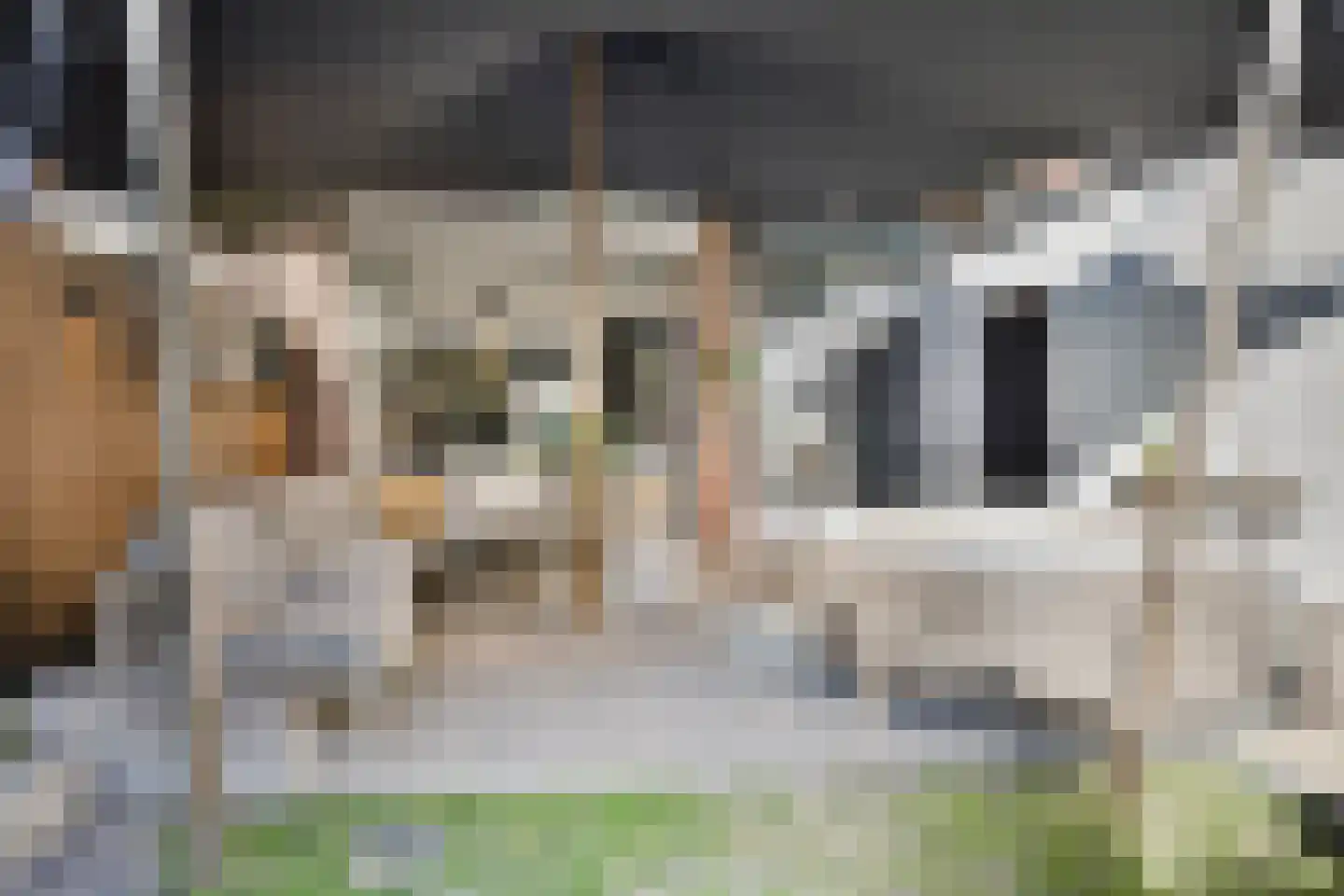 Frisselsteinstraat 16 Veghel thumbnail 37
