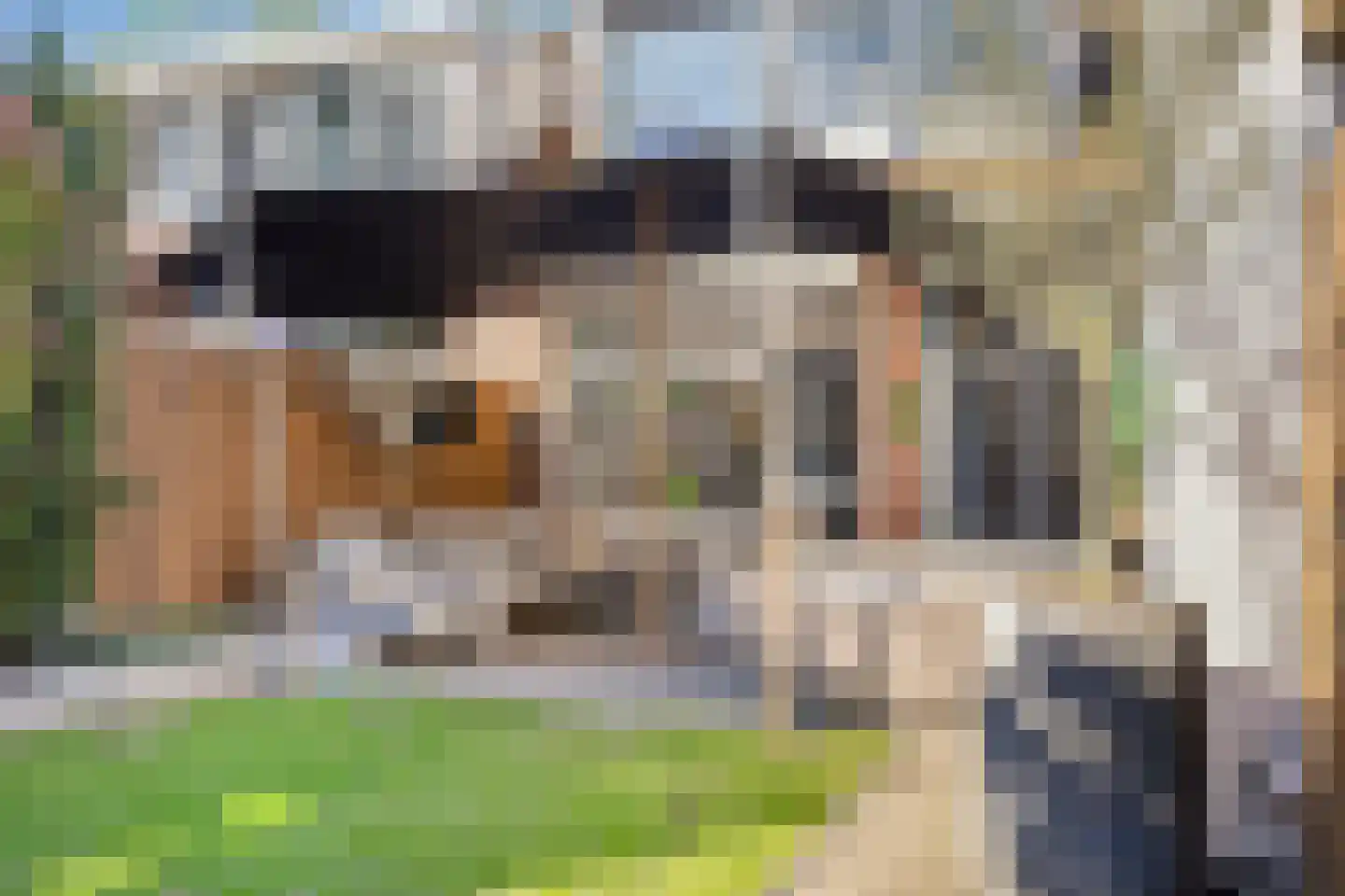 Frisselsteinstraat 16 Veghel thumbnail 38